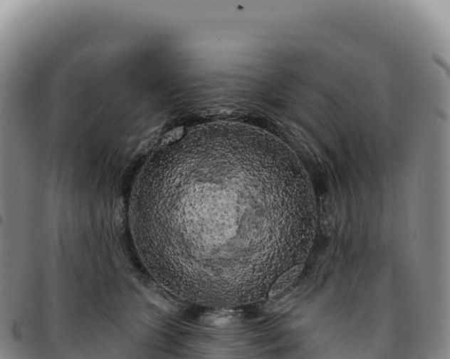 X0000096490563200801311621