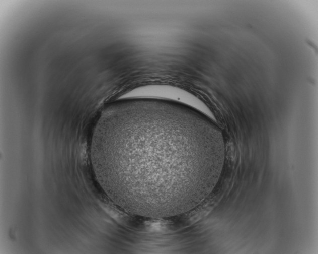 X0000096490564200801311621