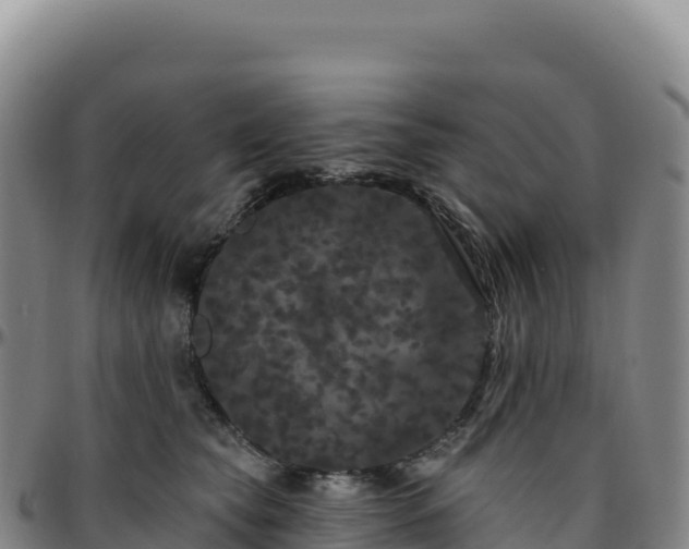 X0000096490565200801311621