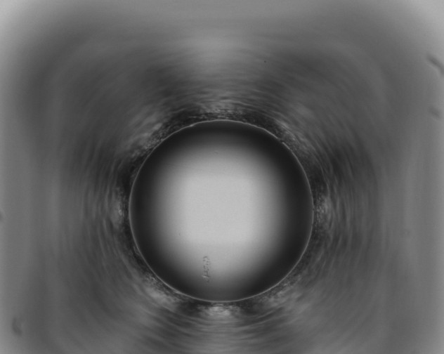 X0000096490566200801311621