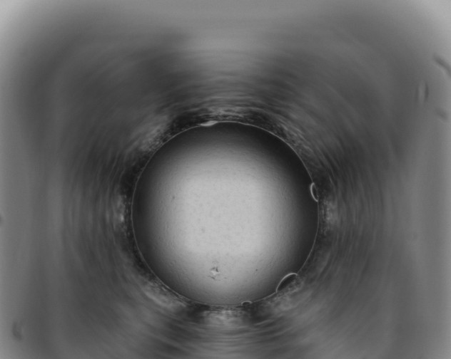 X0000096490567200801311621