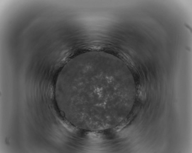 X0000096490568200801311621