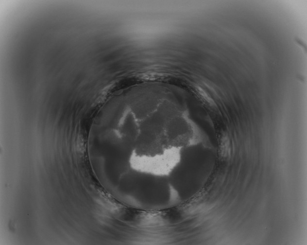 X0000096490569200801311621