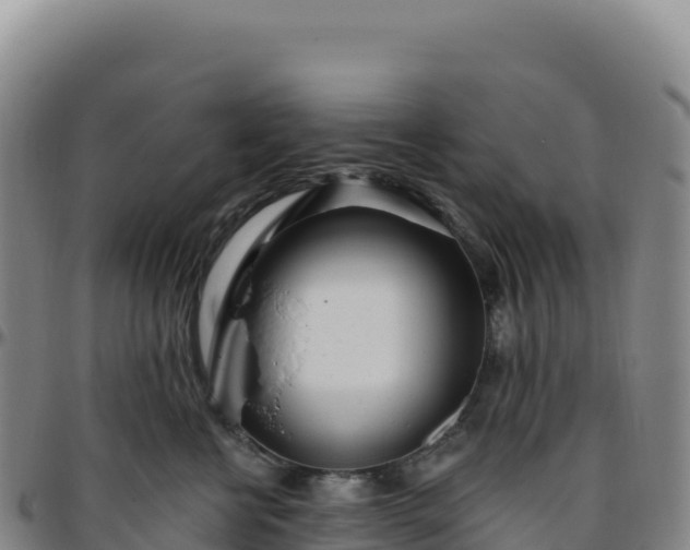 X0000096490570200801311621