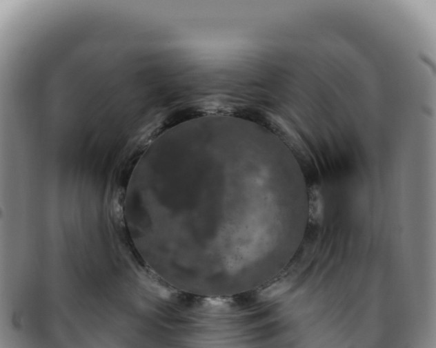 X0000096490573200801311621