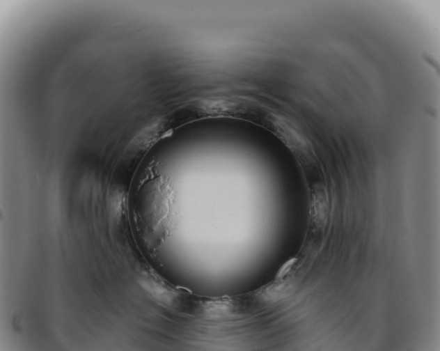 X0000096490574200801311621