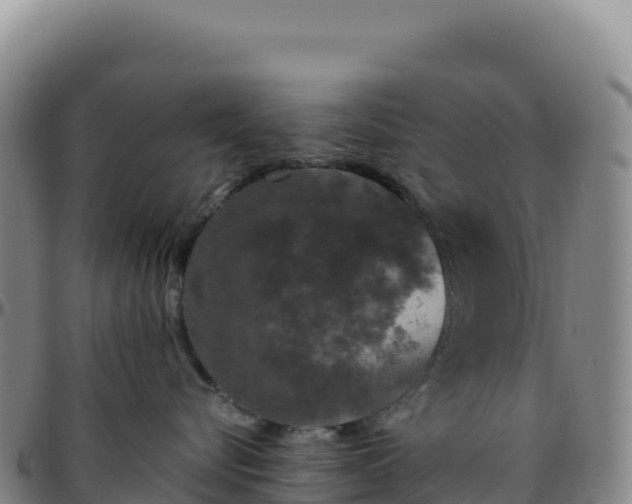 X0000096490576200801311621