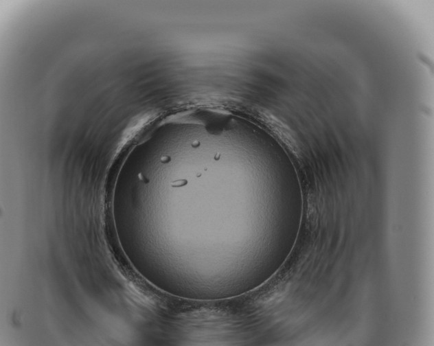 X0000096490578200801311620