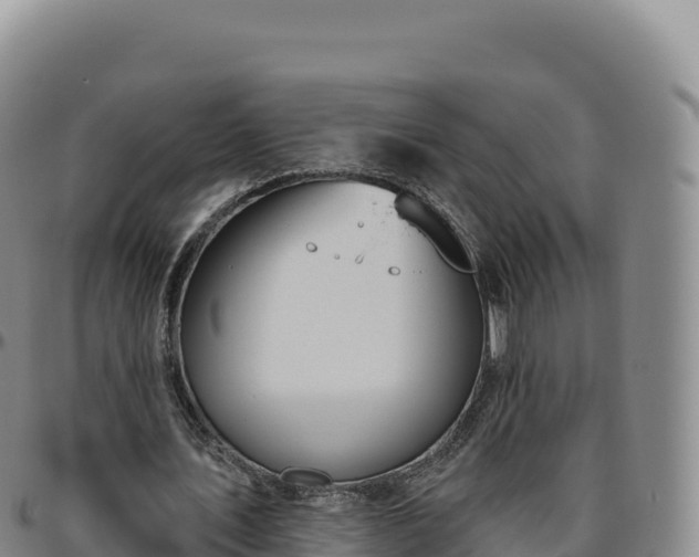 X0000096490579200801311620