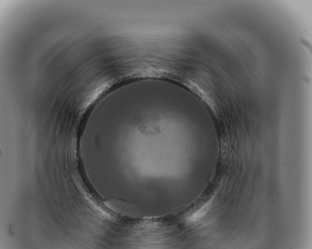 X0000096490581200801311620