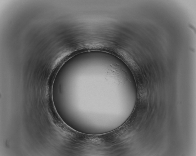 X0000096490583200801311620