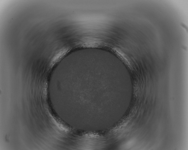 X0000096490586200801311620