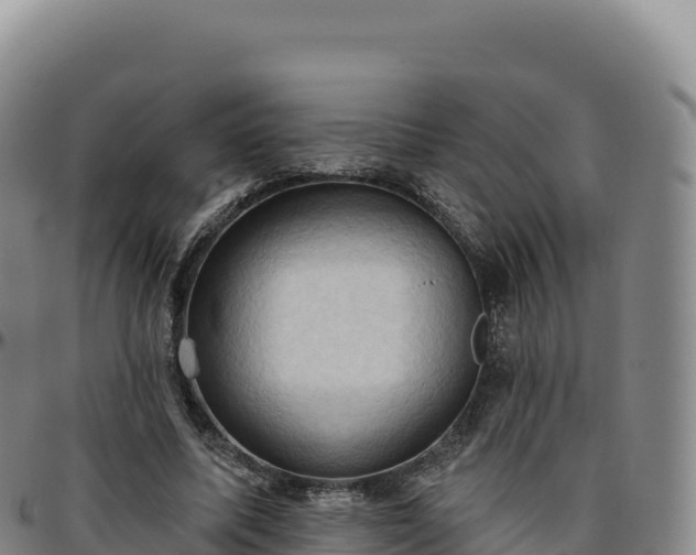 X0000096490587200801311620