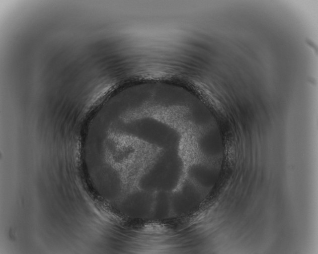 X0000096490591200801311620