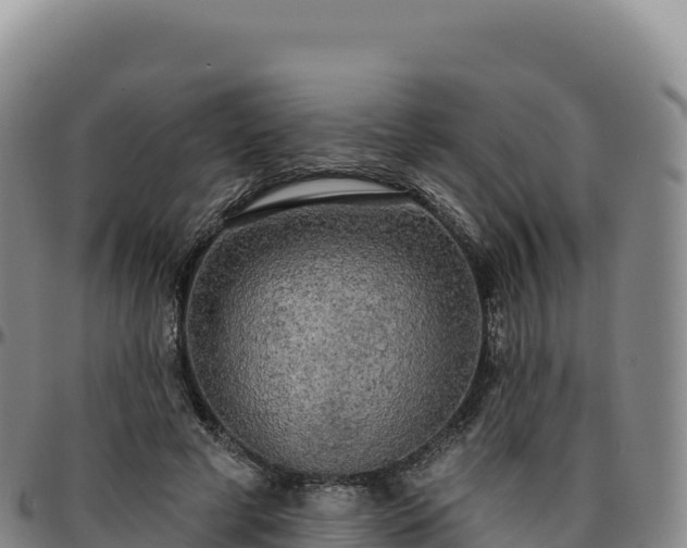 X0000096490593200801311620