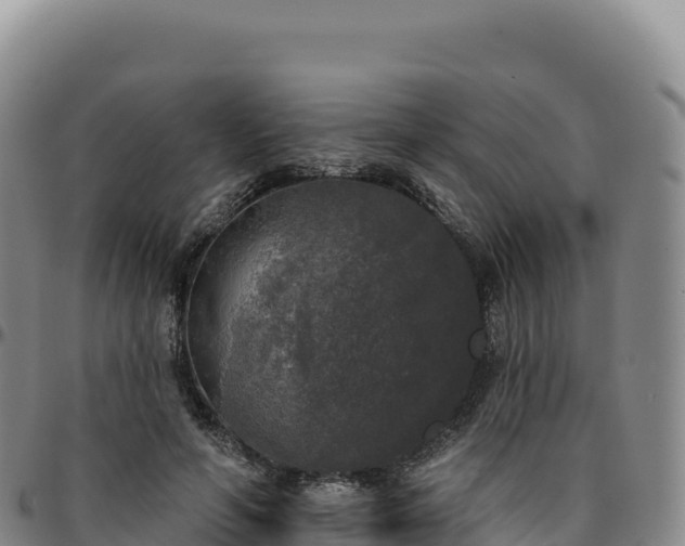 X0000096490594200801311620