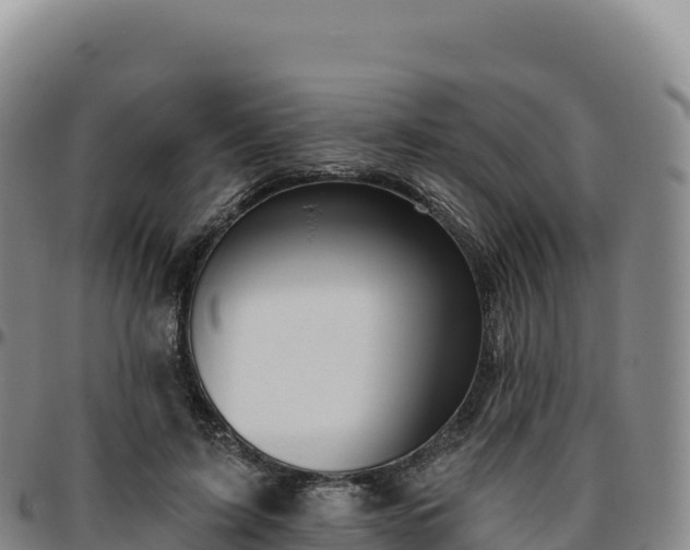 X0000096490595200801311620