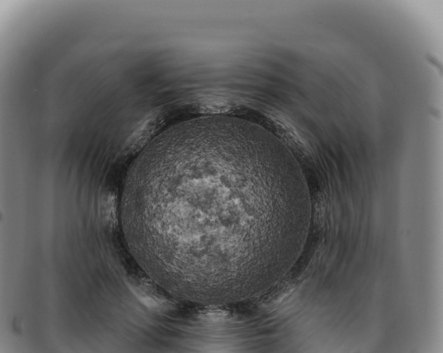 X0000096490598200801311620