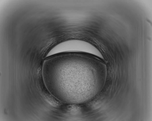 X0000096490601200801311620