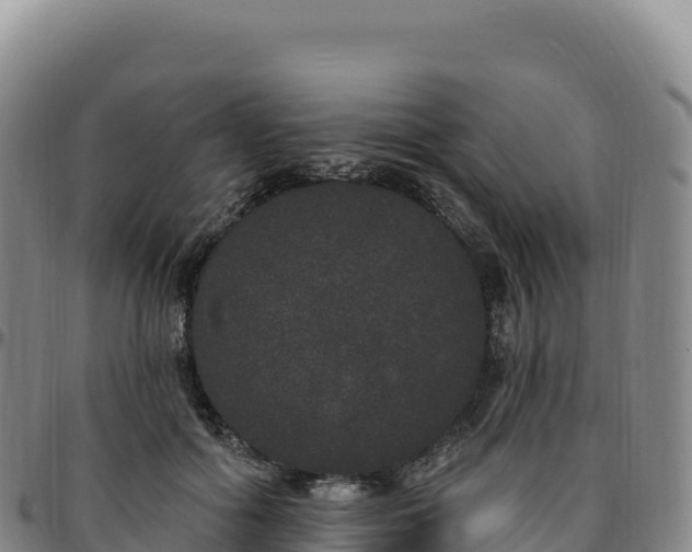 X0000096490602200801311620