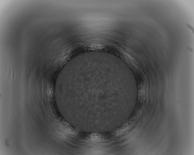 X0000096490608200801311620