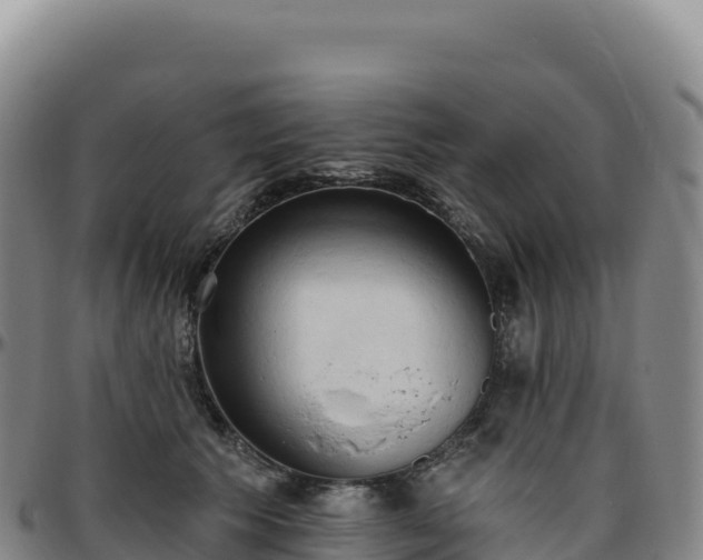 X0000096490609200801311620