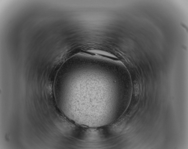 X0000096490613200801311620