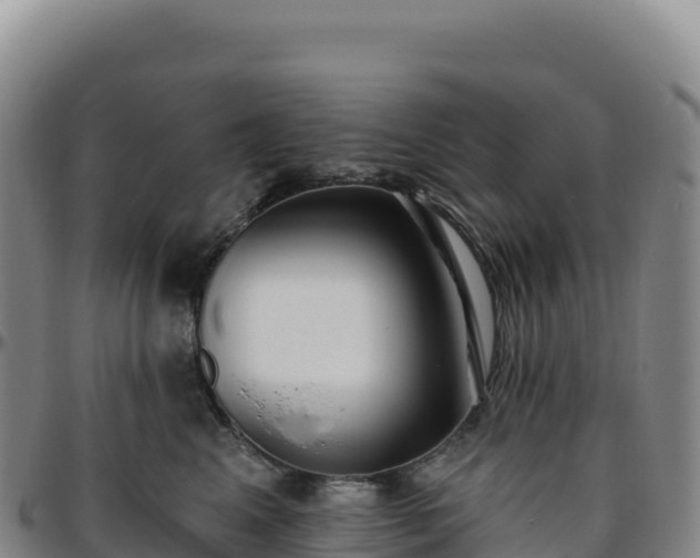 X0000096490617200801311620