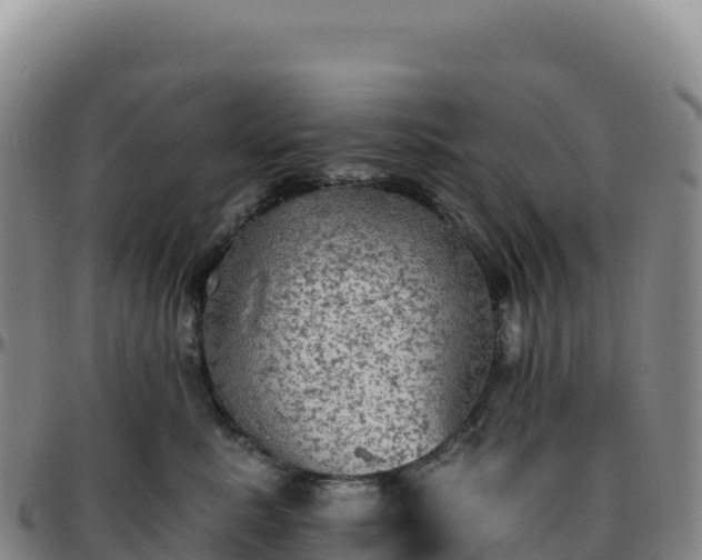 X0000096490619200801311620