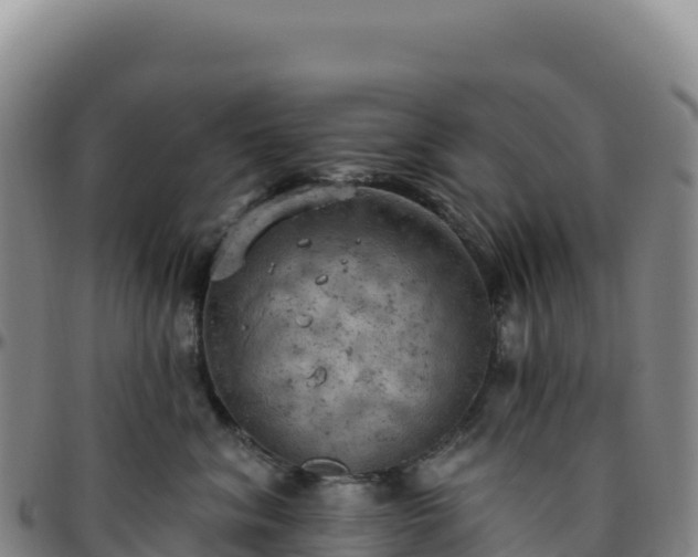 X0000096490620200801311620