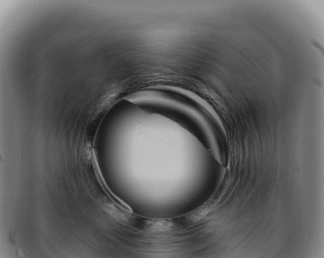 X0000096490621200801311620