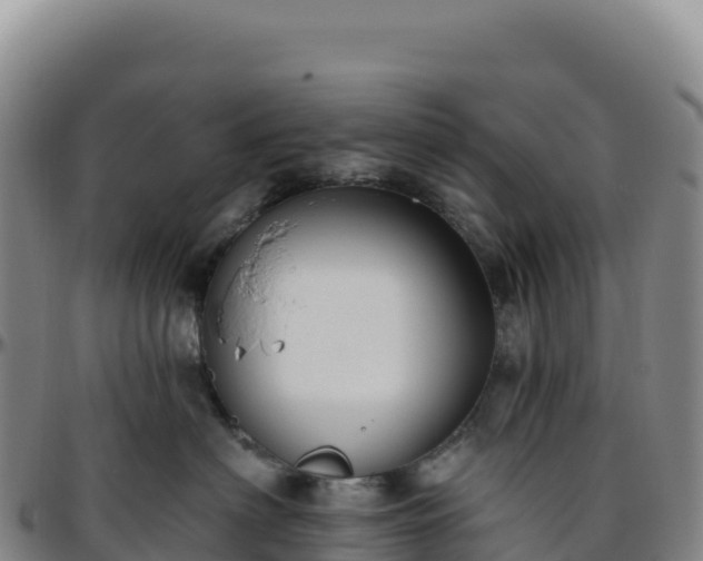 X0000096490622200801311620