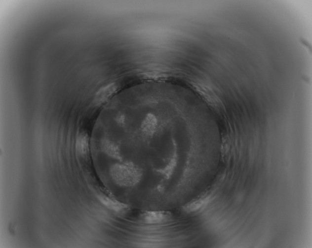 X0000096490623200801311620