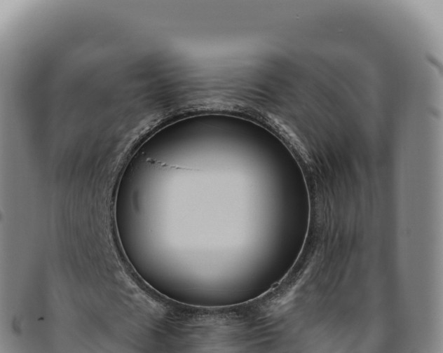 X0000096490625200801311619