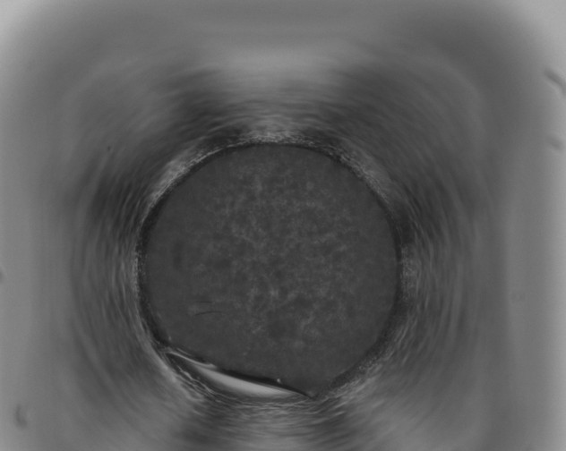 X0000096490626200801311619