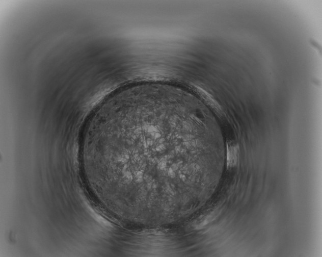 X0000096490627200801311619
