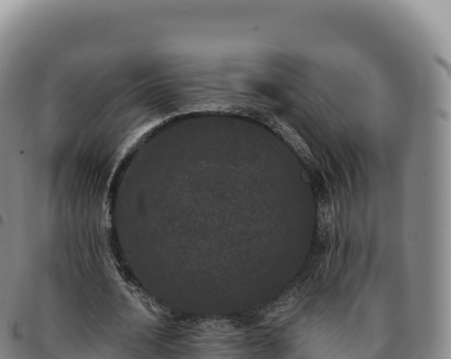 X0000096490628200801311619