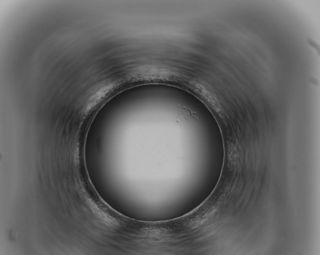 X0000096490629200801311619