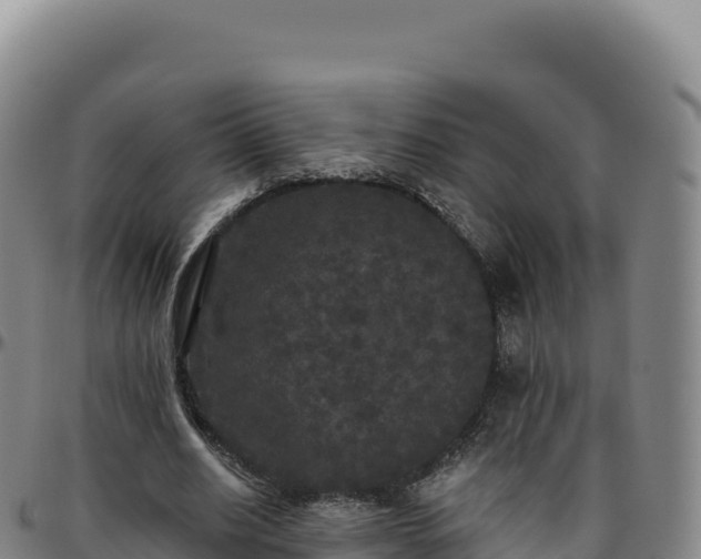 X0000096490630200801311619