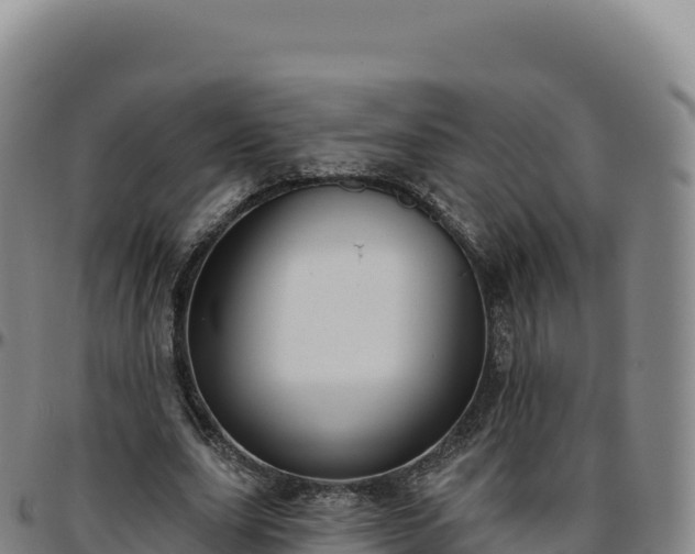 X0000096490631200801311619