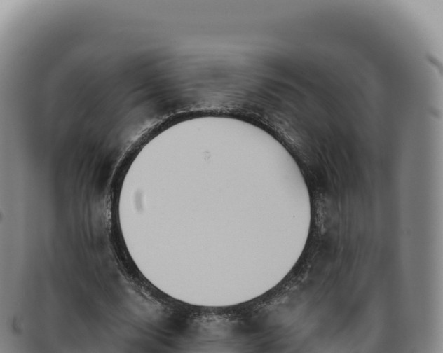 X0000096490632200801311619