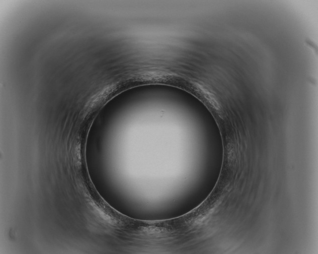 X0000096490633200801311619