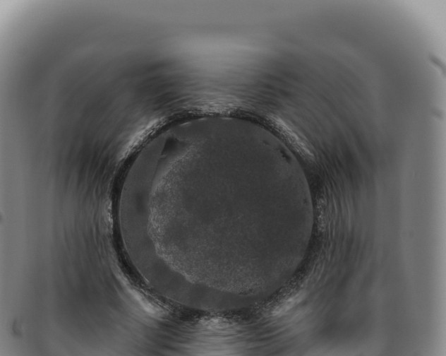 X0000096490634200801311619