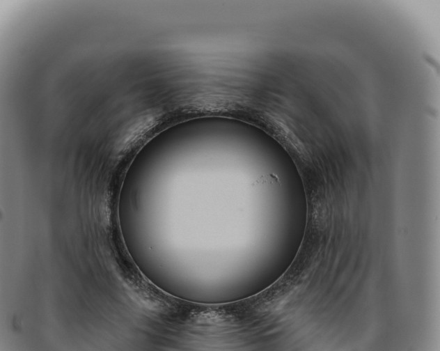 X0000096490635200801311619