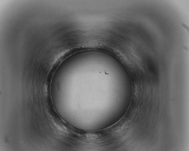 X0000096490636200801311619