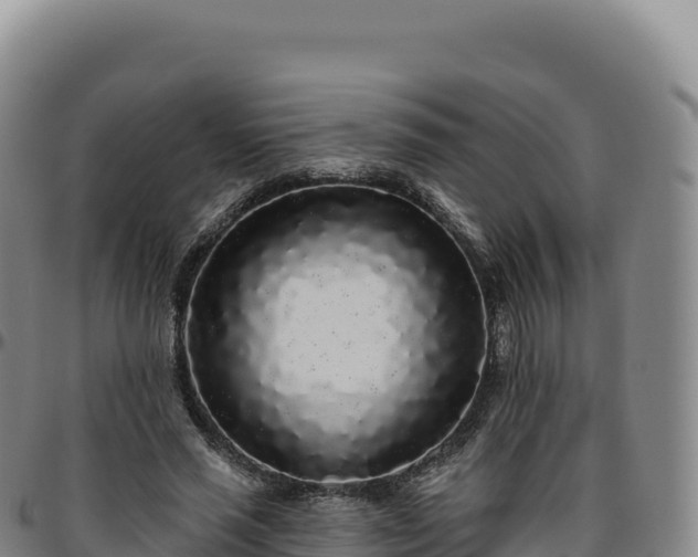 X0000096490637200801311619