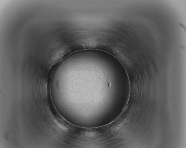 X0000096490638200801311619