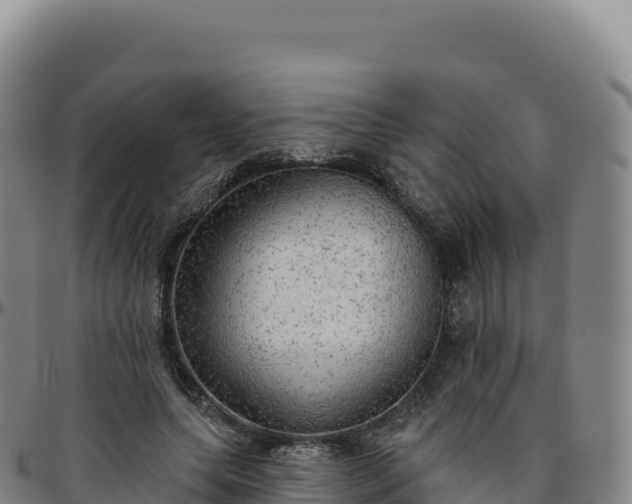 X0000096490639200801311619