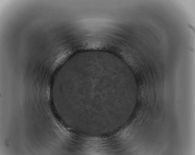 X0000096490640200801311619