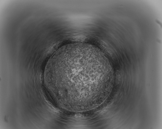 X0000096490641200801311619